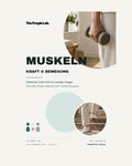 GLP-1 Edition 09: Muskeln, Kraft & Bewegung | PDF-Download