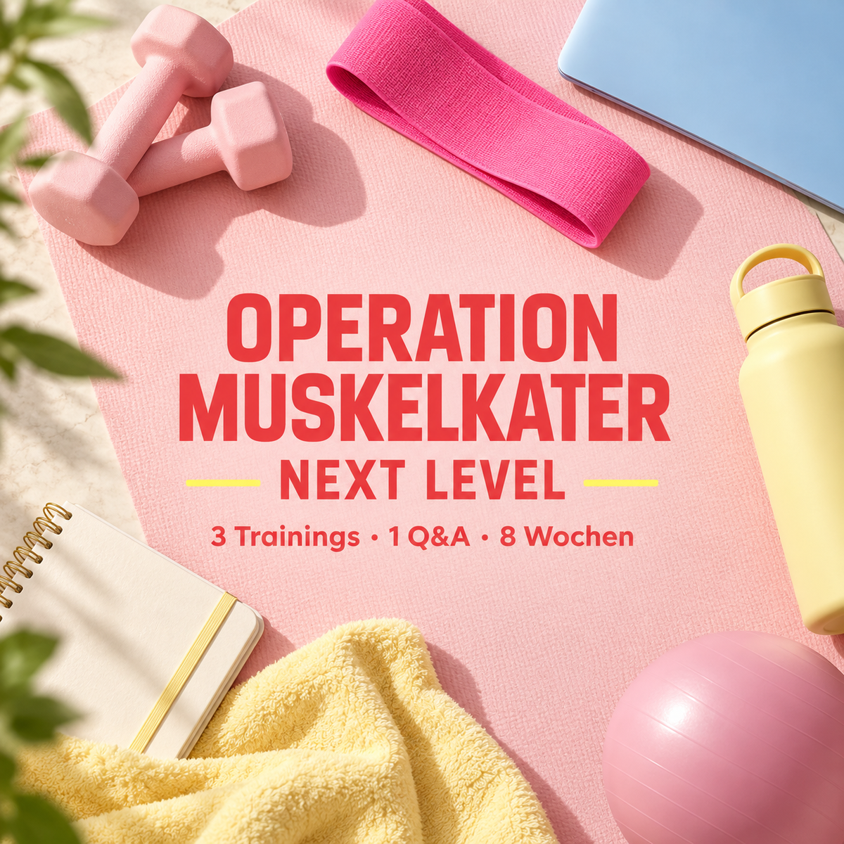 OPERATION MUSKELKATER – NEXT LEVEL (WINKEARME, SPECKROLLE, KNACKPÖPPES)